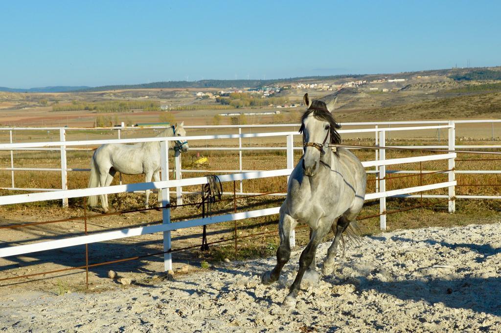 Rural Reillo Alojamientos Rurales מראה חיצוני תמונה