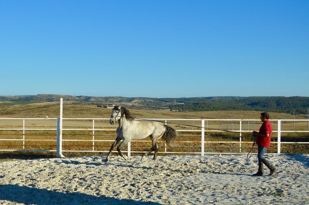 Rural Reillo Alojamientos Rurales מראה חיצוני תמונה