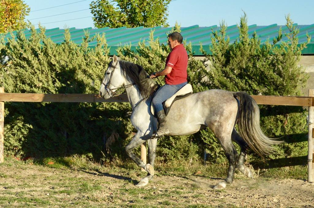 Rural Reillo Alojamientos Rurales מראה חיצוני תמונה