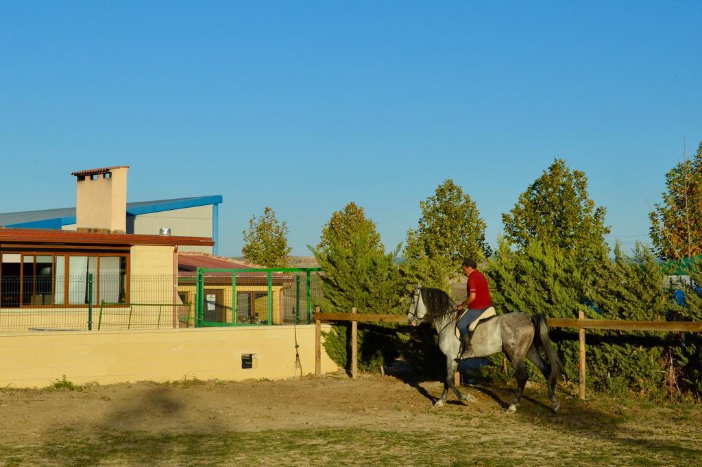 Rural Reillo Alojamientos Rurales מראה חיצוני תמונה